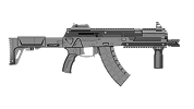 gun photo